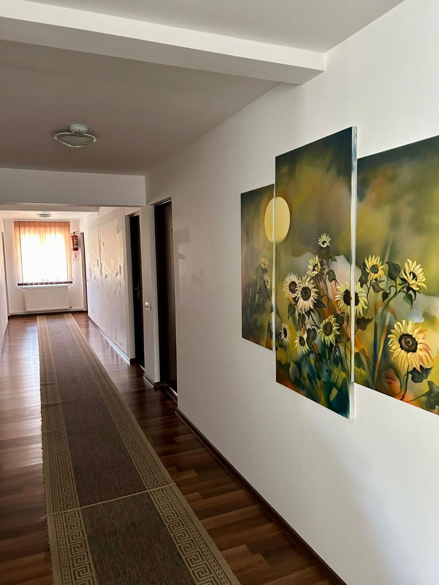 Sîndominic Aranykakas Etterem Es Panzio Bed & Breakfast エクステリア 写真